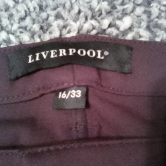 NWT! LIVERPOOL JEANS COMPANY JACQUELINE SKINNY PANT DARK PURPLE SIZE 16/33 - Picture 5 of 14